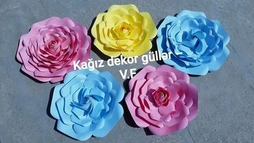 Digər ev dekoru: Sinif otağı, bağça,, məktəb, gözəllik salonu, mağaza vitrin, toy nişan — 14