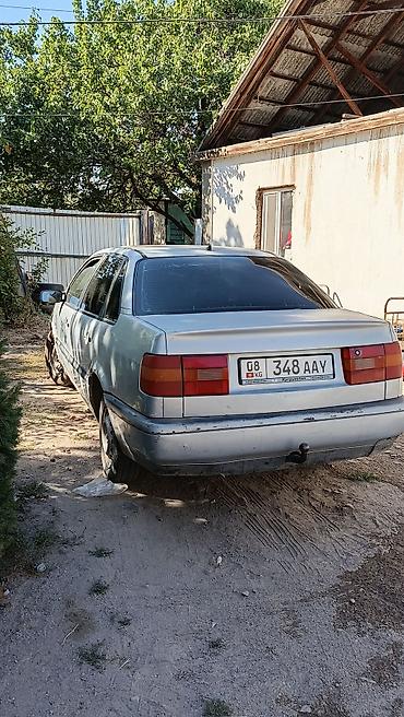 раф 4 бампер: Volkswagen Passat: 1995 г., Седан — 4