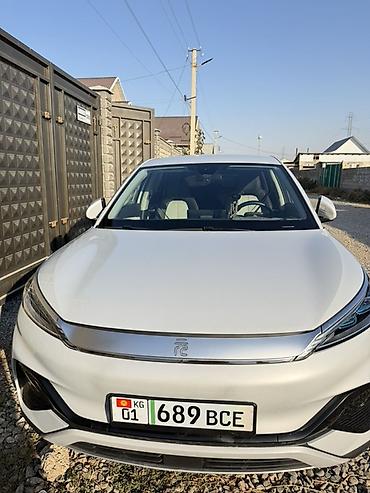byd бишкек цена: BYD Dolphin: 2024 г., Автомат, Электромобиль, Хэтчбэк — 1
