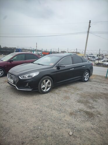продаю хюндай саната: Hyundai Sonata: 2019 г., 1.6 л, Автомат, Бензин, Седан