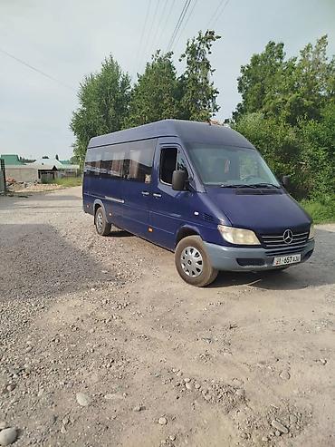 Mercedes-Benz: Mercedes-Benz Спринтер: 2006 г., 2.7 л, Механика, Бус — 1