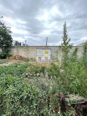 Продажа цехов, заводов, фабрик: Цех, 2423 м² — 12