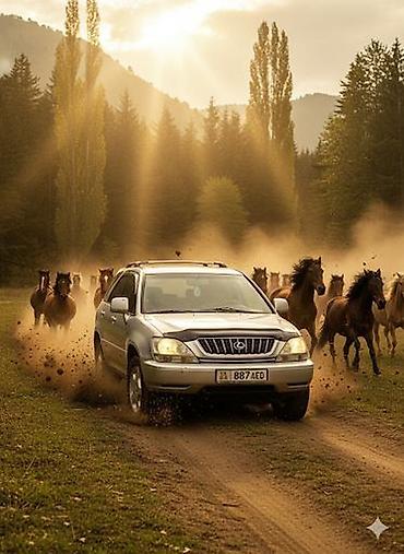 Lexus: Lexus RX: 2002 г., 3 л, Автомат, Газ, Кроссовер — 1