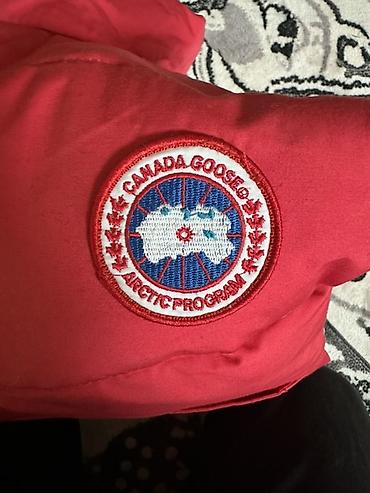 arcteryx купить: Жилет Canada Goose Arctic Program Надевал мало Состояние отличное — 3