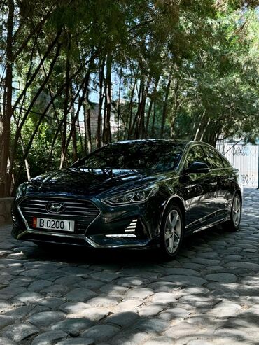 саната 2017: Hyundai Sonata: 2017 г., 2 л, Типтроник, Газ, Седан