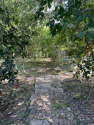 Köhnə tikili: İmişli, 5 otaqlı, Köhnə tikili, 95 kv. m — 14