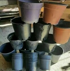 Bitkilər üçün dibçəklər: Gül və dibçək qabları satılır.Plastik,kauçuk materyaldır.Sayı 50 -da lalafo.az — 5 Bitkilər üçün dibçəklər: Gül və dibçək qabları satılır.Plastik,kauçuk materyaldır.Sayı 50 — 5