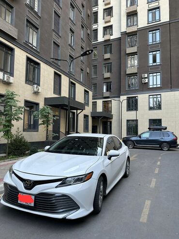 фуранер таета: Toyota Camry: 2017 г., 2.5 л, Автомат, Бензин, Седан