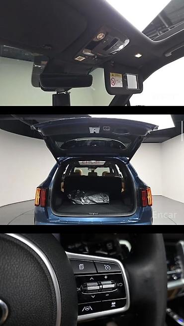 kia ev3: Kia Sorento: 2020 г., 1.6 л, Автомат, Гибрид, Кроссовер — 7