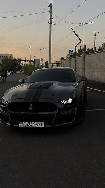 машина 200: Ford Mustang: 2020 г., 2.3 л, Автомат, Купе — 2