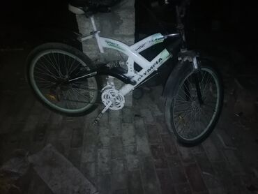 Qazanlar: İşlənmiş Şəhər velosipedi Adidas, 26", Ödənişli çatdırılma