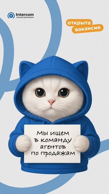 подработка в бишкеке без опыта для школьников: Талап кылынат Соода агенти, Иш тартиби: Ийкемдүү график, Тажрыйбасыз, Сатуудан %, Кошумча акча табуу