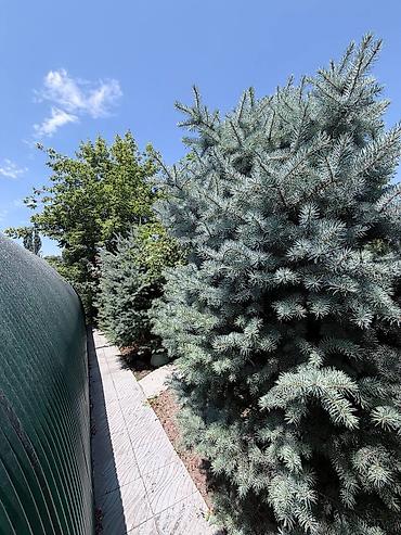 Продажа коттеджей и домов: 4 комнаты, 130 м², 7 соток, Кант, Собственник — 27