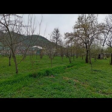 Torpaq sahələrinin satışı: Tikinti, Mülkiyyətçi, Kupça (Çıxarış), Bələdiyyə, Texniki pasport — 8