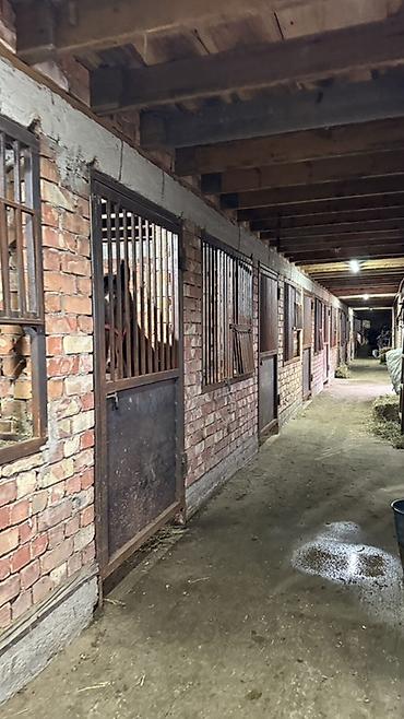 Продажа коттеджей и домов: 📌СРОЧНО ПРОДАЕТСЯ ДОМ с готовым БИЗНЕСОМ 🔥🔥🔥 🟡 ДОМ + МАГАЗИН +БАНЯ + — 19