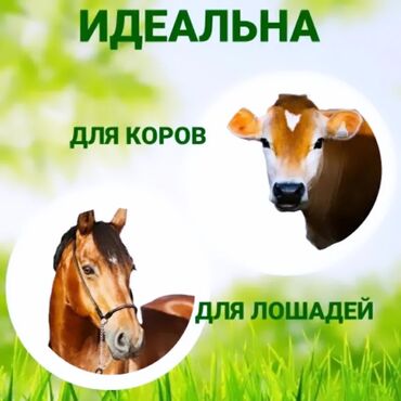 Qidalandırıcılar: Yem qabı, Su üçün, Heyvanlar üçün, Rayonlara çatdırılma, Ödənişli çatdırılma, Ünvandan götürmə — 7