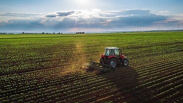 продаю поливной земля: 63 соток, Для сельского хозяйства