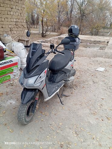 купить трактор мтз из европы: Скутер Dasharoid (на пластике — BRX), городской/туринговый класс