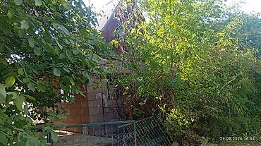 Продажа дачи: Садовый домик с террасой и зеленым участком - Капитальный домик из — 28