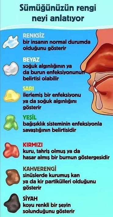 rəngli kağız: Məhsul: Burun axıntısı və selik rəngləri haqqında maarifləndirici — 1