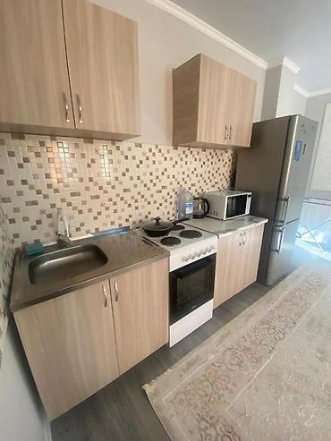 Посуточная аренда квартир: 1 комната, Постельное белье, Банные принадлежности, Бронь — 3