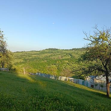 Torpaq sahələrinin satışı: Tikinti — 8