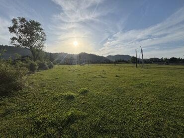 14 sot, Biznes üçün, Barter mümkündür, Kupça (Çıxarış)