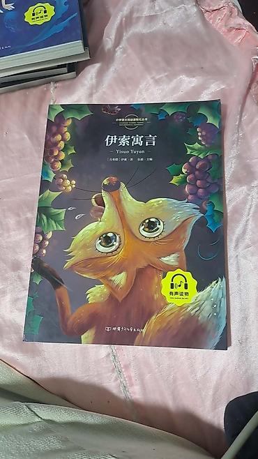 диски с фильмами: Набор детских книг с иллюстрациями и озвучкой (китайский язык) Состав — 1