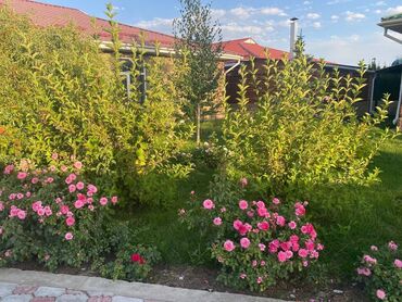 Иссык-Куль 2025: Квартира, Париж 2 ЦО Париж, Чок-Тал at lalafo.kg — 6 Иссык-Куль 2025: Квартира, Париж 2 ЦО Париж, Чок-Тал — 6