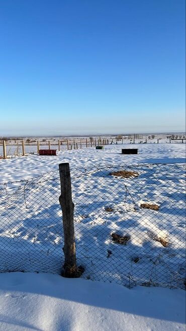 Продажа домов: Дом, 300 м², 6 комнат at lalafo.kg — 6 Продажа домов: Дом, 300 м², 6 комнат — 6