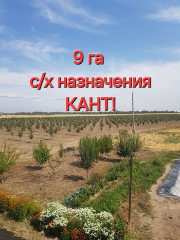 айдоо жер сатылат: 900 соток, Айыл чарба үчүн, Сатып алуу-сатуу келишими