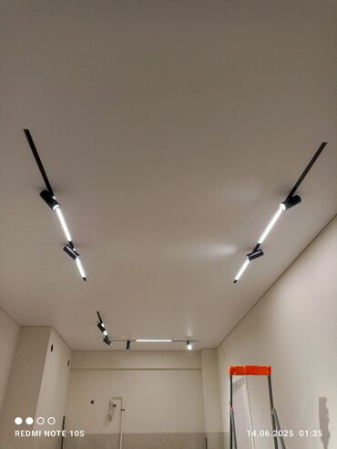 фикус али: Керме шыптар Жылтырабаган, 3D потолоктор, Жылтырак Кепилдиги, Акысыз консультация, Демонтаждоо