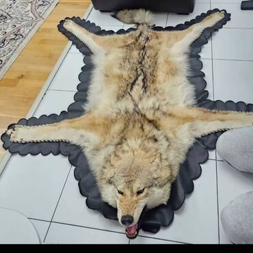 Аренда юрт: Аренда юрты, Каркас Деревянный, 85 баш, Казан, Посуда, С полом at lalafo.kg — 7 Аренда юрт: Аренда юрты, Каркас Деревянный, 85 баш, Казан, Посуда, С полом — 7