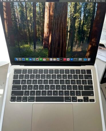 Ноутбуктар: Ноутбук, Apple, 16 ГБ ОЭТ, Apple M4, 13.5 ", Жаңы, Жумуш, окуу үчүн, эс тутум SSD
