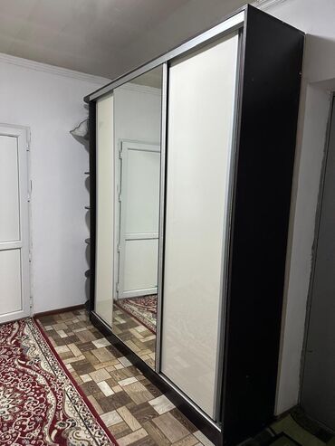 аквариум изготовление: Шкаф купе, С зеркалом, Другой материал