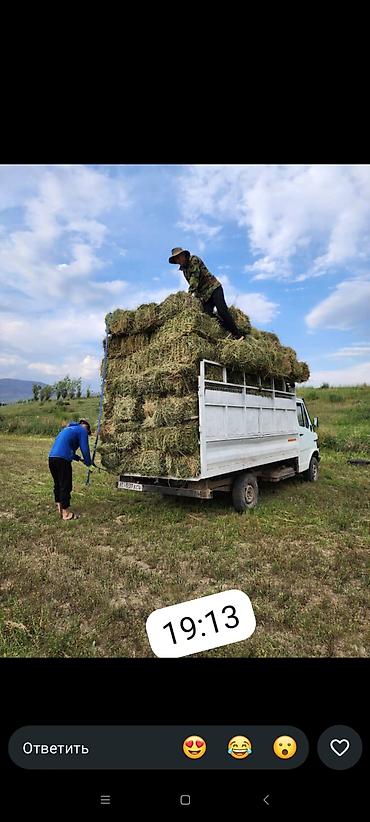 ош эвакуатор: Продаётся малотоннажный бортовой грузовик (однарядная кабина, задний — 2