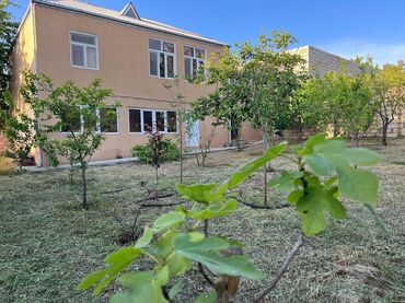 Bağ evlərinin satışı: Novxanıda Qurd dərəsi deyilən ərazidə, əsas yoldan təxminən 800 metr — 8