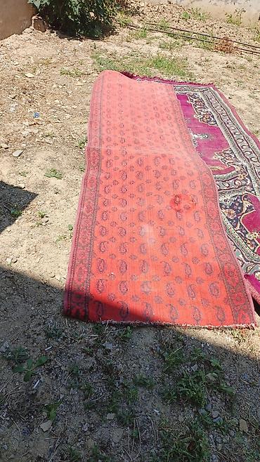 ev sekili: Xalça Dekorativ, Kredit yoxdur — 1