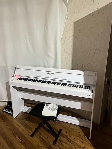 korg pa x: Allegro AG-8817 rəqəmsal piano – ağ korpuslu, klassik pianinoya bənzər — 5