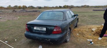 sonata бензин: Hyundai Sonata: 1996 г., 2 л, Бензин, Седан