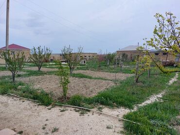 işlenmiş ev qapıları: Həyətyanı torpaq sahəsi 16 sot sənədli. Şəxsi ev tikmək icazəsi ilə