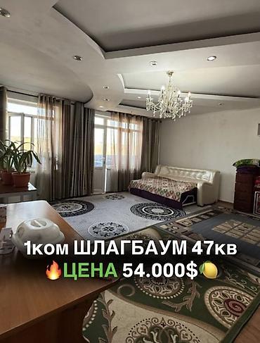 сапат дом: 1-комнатная квартира, Шлагбаум, 47 кв.м. ПРОДАЁТСЯ 1-КОМНАТНАЯ — 1
