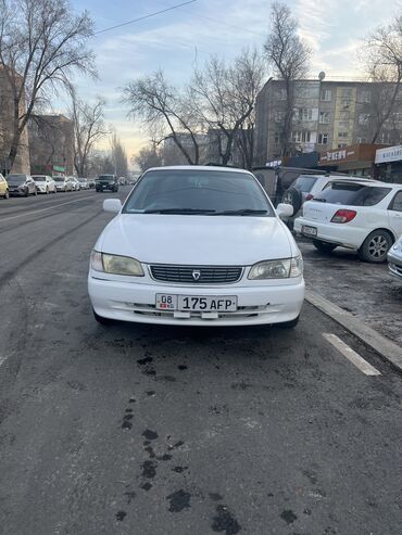 Toyota: Toyota Corolla: 1998 г., 1.3 л, Автомат, Бензин, Седан