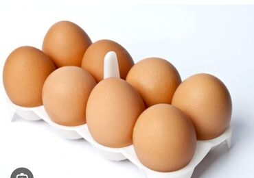стоимость яйца в бишкеке: Продам яйцо куриное 
С1, С2, С3, С0