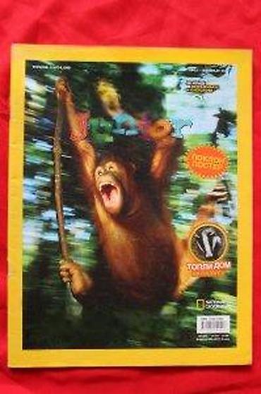 Sličice i albumi za sličice: NATIONAL GEOGRAPHIC JUNIOR 31 | National Geographic Junior broj 31 — 9