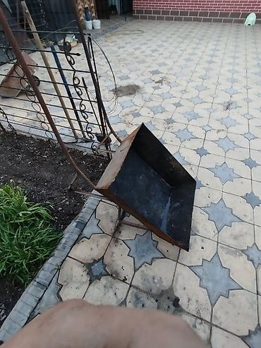 лош ат: Тачка сатылат донгологу жок абалы жакшы чириги жок баасын суйлошобуз — 1