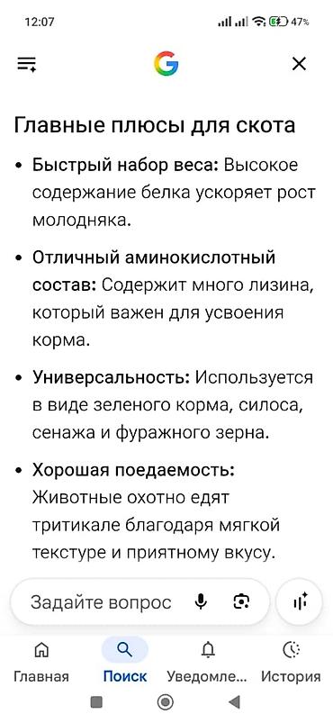 рай понел: Продаю пшеницу Тритикале - 720 кг — 4