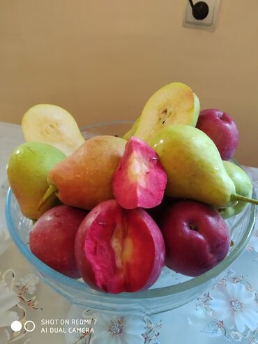 Bağ evlərinin satışı: Lerik, 115 kv. m, 3 otaqlı, İnternet, Telefon, Qaz — 7