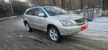 Lexus: Lexus RX: 2004 г., 3.3 л, Автомат, Газ, Внедорожник