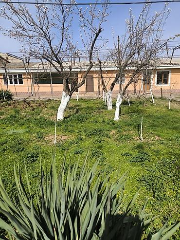 Продажа домов: Дом, 1441 м², 12 комнат, Собственник at lalafo.kg — 41 Продажа домов: Дом, 1441 м², 12 комнат, Собственник — 41